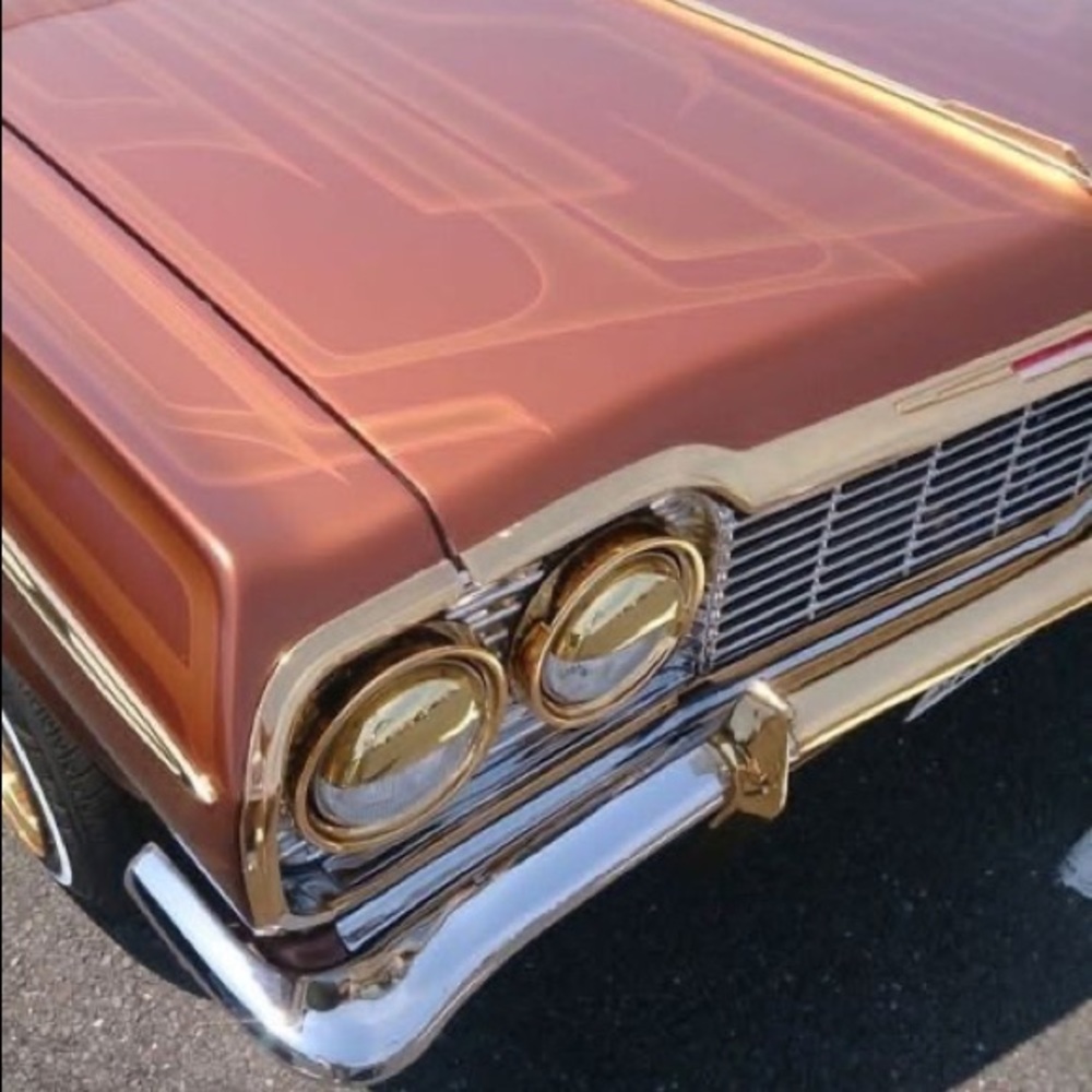 Meet your Posher, Amber